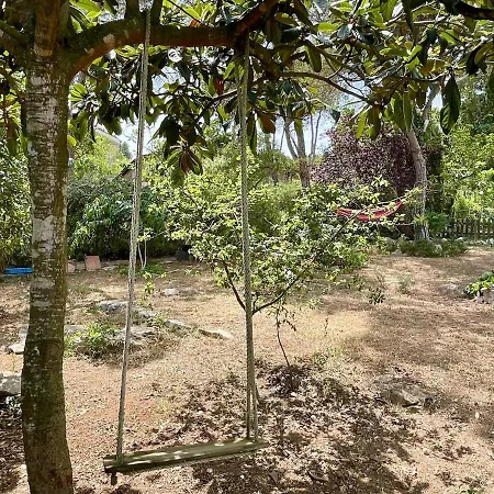 公寓 Casa Alexia Mediona